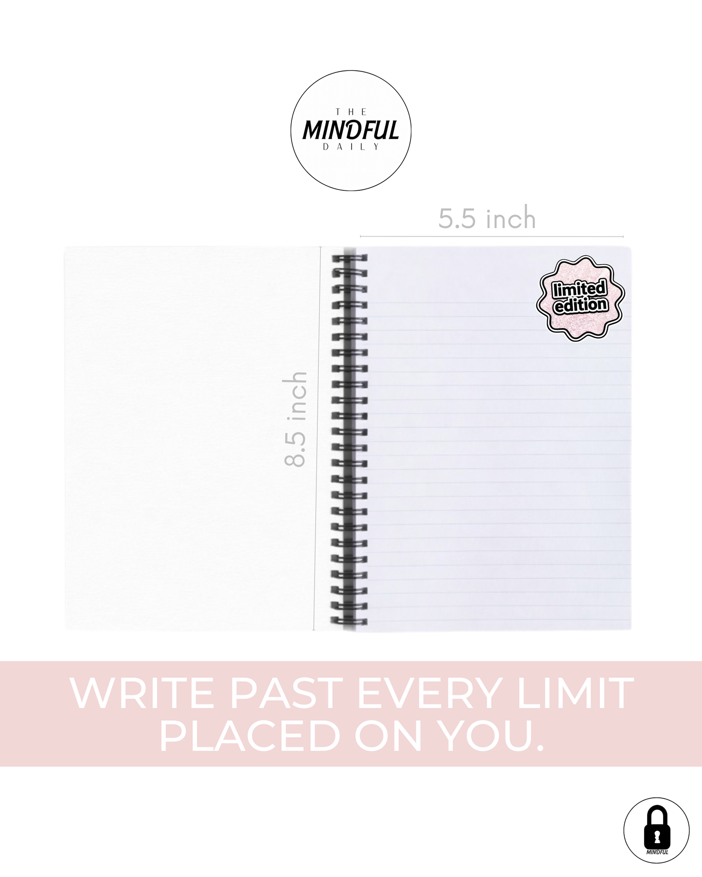 Shatter the Ceiling Notebook